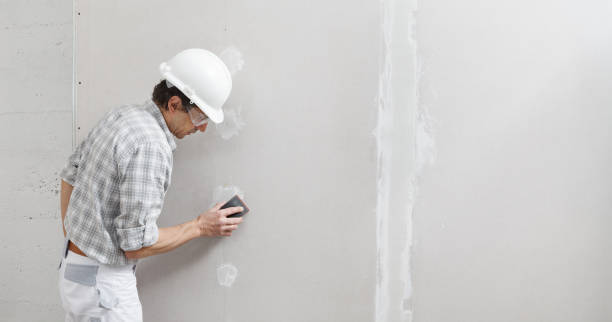 Best Drywall Texturing  in Red Lake, MN